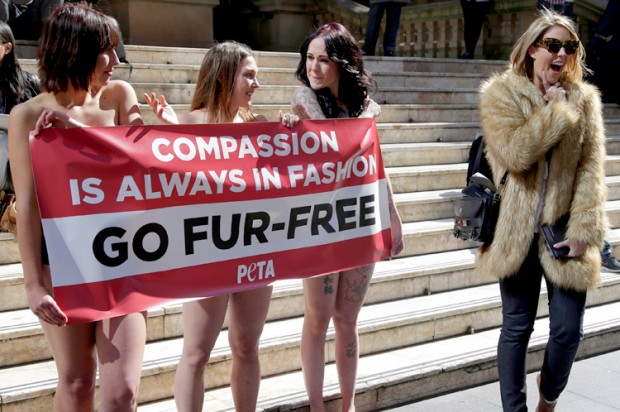 Three naked women stand behind a PETA anti-fur banner outside. A female bystander looks shocked.