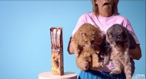 Older woman in a pink cat sweater holding two cats next to "impostor" jerky