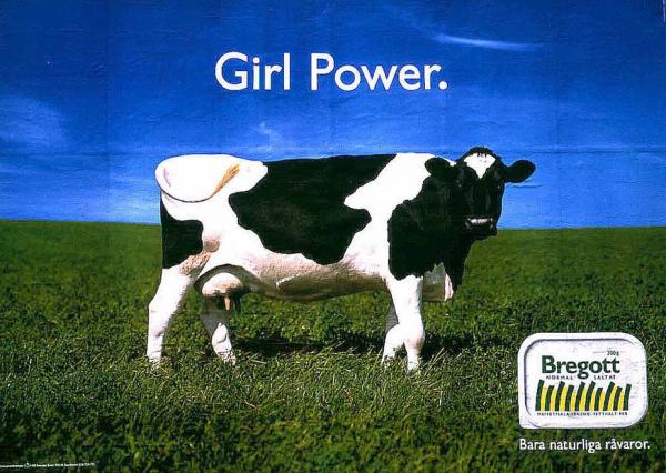 Dairy cow in field, reads "Girl Power." Ad for dairy products.