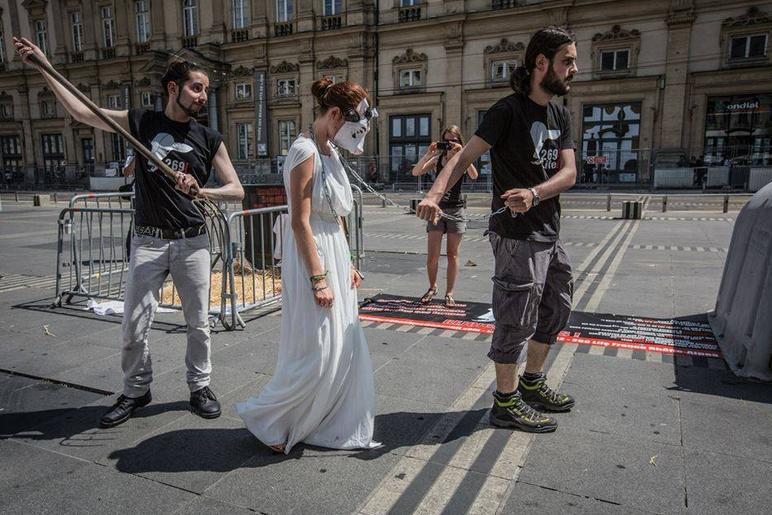 Woman in cow mask and white dress led through streets by men with a lead