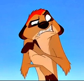 Timon looking disgusted